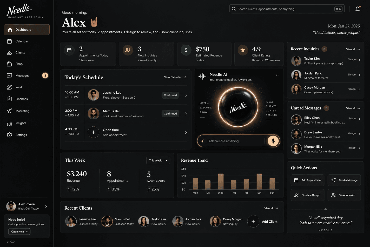 Needle dashboard design preview with appointments, enquiries, and illustrative business metrics.
